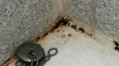 Kako odstraniti glive v kopalnici